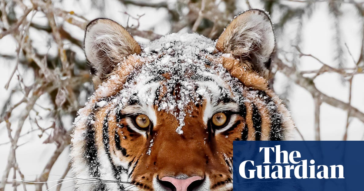 World must change the way it produces food to protect nature, says WWF