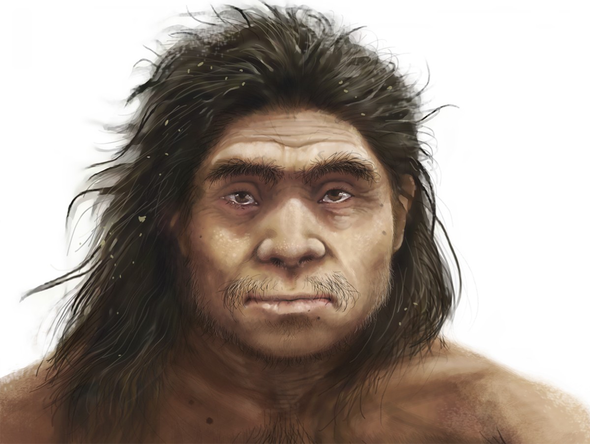 This is what the mysterious Denisovans looked like