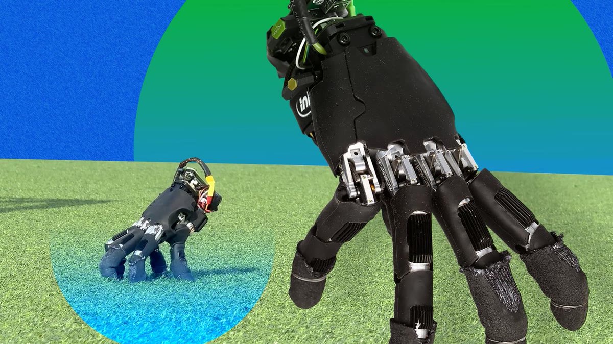 This disembodied hand is all the robot you need